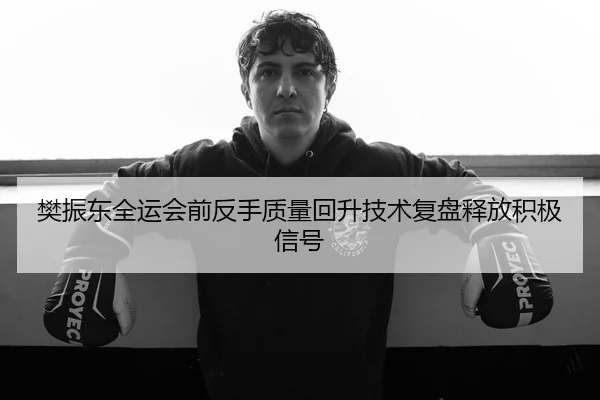 樊振东全运会前反手质量回升技术复盘释放积极信号
